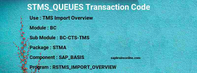 SAP STMS_QUEUES transaction code