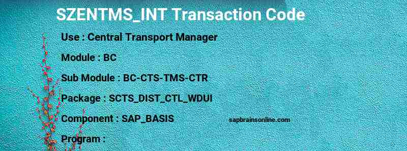 SAP SZENTMS_INT transaction code