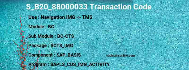 SAP S_B20_88000033 transaction code