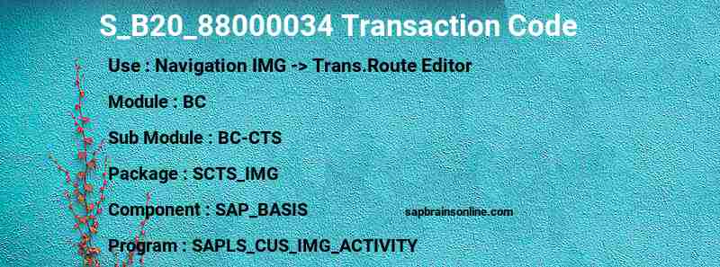 SAP S_B20_88000034 transaction code