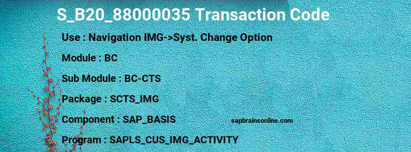 SAP S_B20_88000035 transaction code