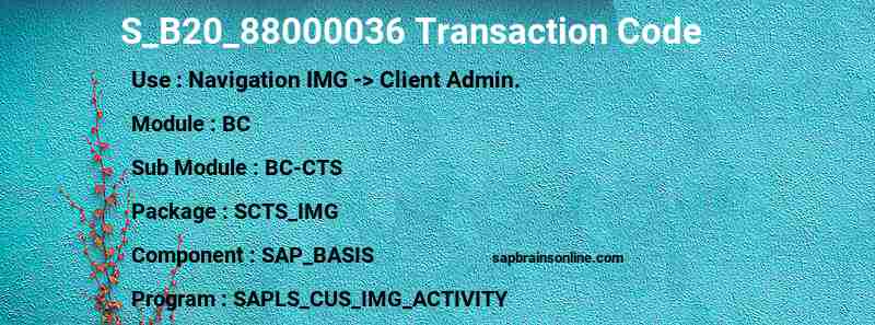 SAP S_B20_88000036 transaction code