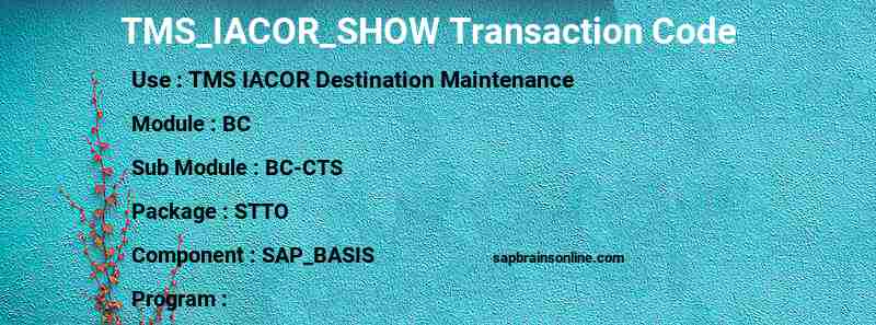 SAP TMS_IACOR_SHOW transaction code
