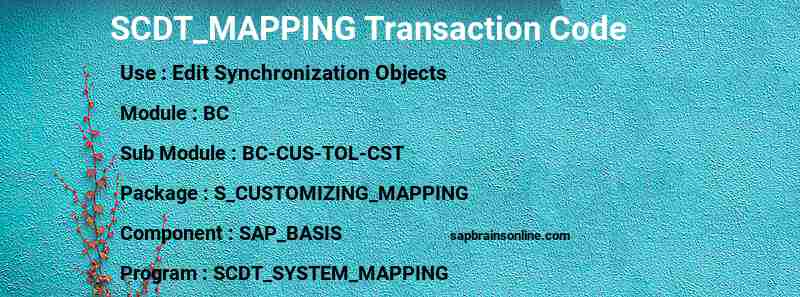 SAP SCDT_MAPPING transaction code