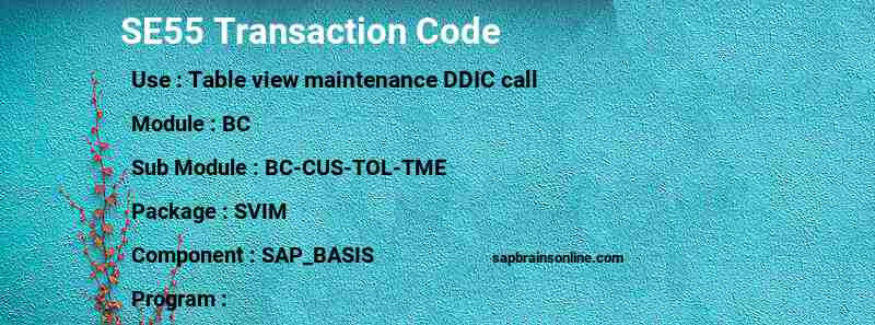 SAP SE55 transaction code