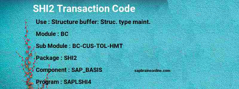 SAP SHI2 transaction code