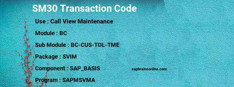 SAP SM30 transaction code