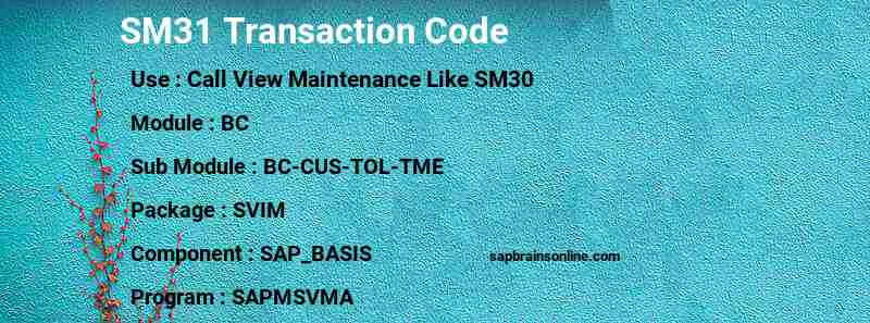 SAP SM31 transaction code