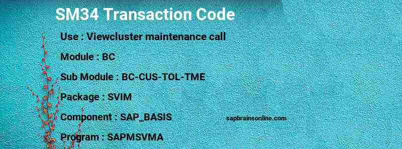 SAP SM34 transaction code