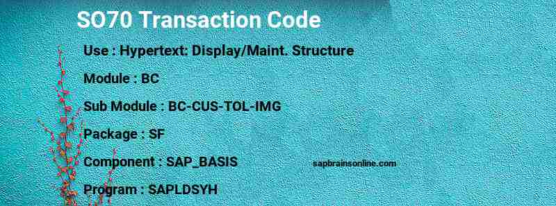 SAP SO70 transaction code