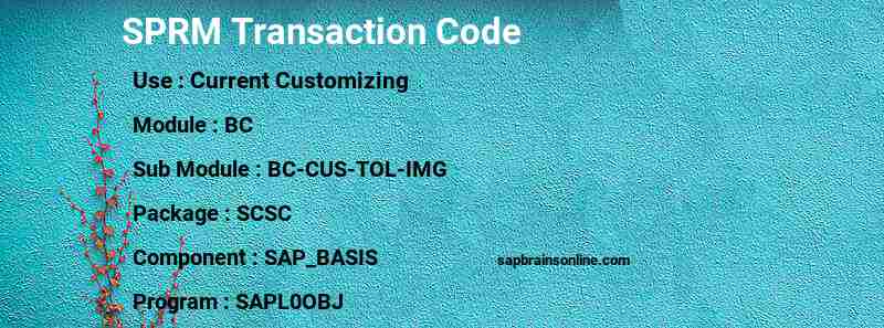 SAP SPRM transaction code