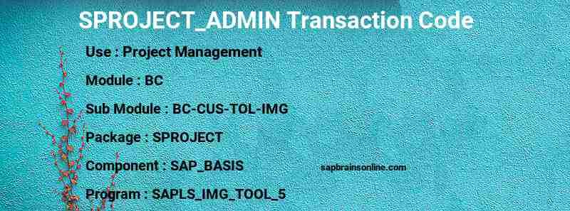 SAP SPROJECT_ADMIN transaction code