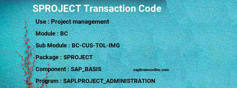 SAP SPROJECT transaction code