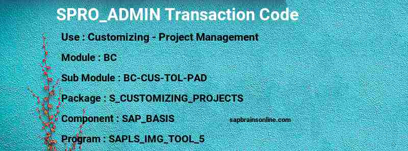 SAP SPRO_ADMIN transaction code