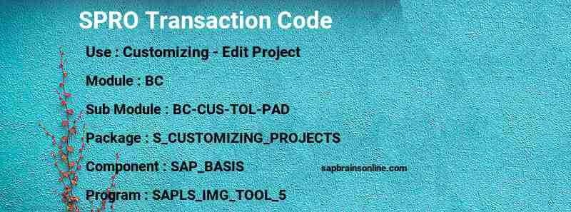 SAP SPRO transaction code