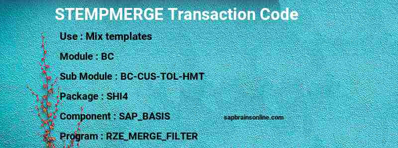 SAP STEMPMERGE transaction code