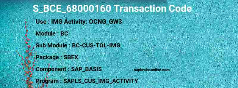 SAP S_BCE_68000160 transaction code