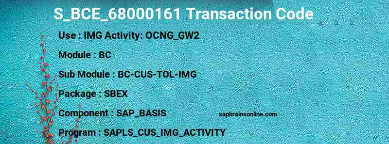 SAP S_BCE_68000161 transaction code