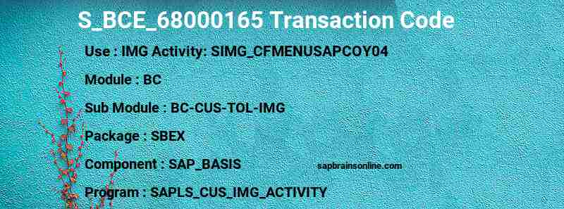 SAP S_BCE_68000165 transaction code