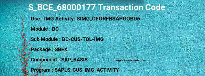 SAP S_BCE_68000177 transaction code