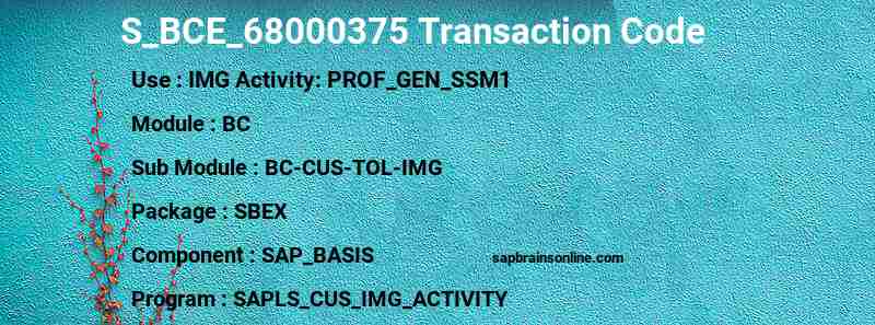 SAP S_BCE_68000375 transaction code