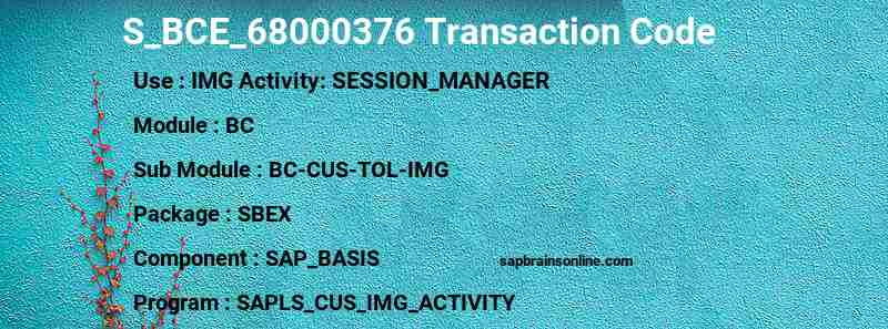 SAP S_BCE_68000376 transaction code