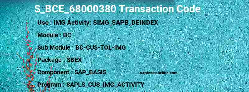 SAP S_BCE_68000380 transaction code