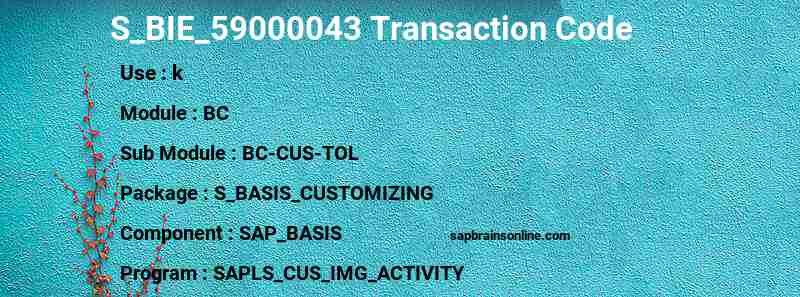 SAP S_BIE_59000043 transaction code