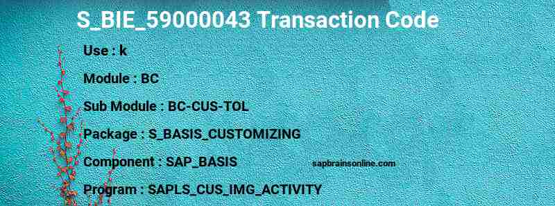 SAP S_BIE_59000043 transaction code