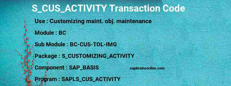 SAP S_CUS_ACTIVITY transaction code
