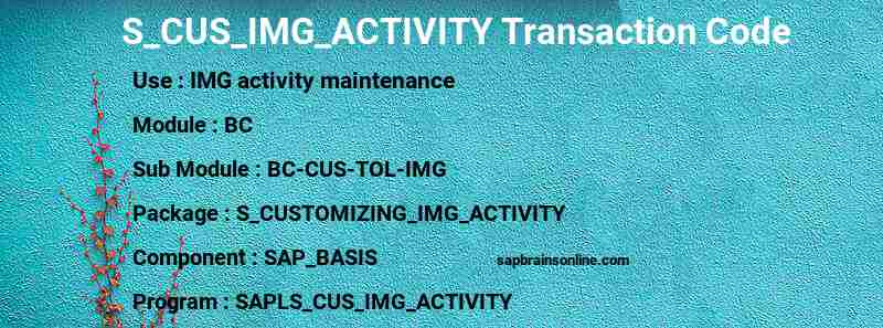 SAP S_CUS_IMG_ACTIVITY transaction code