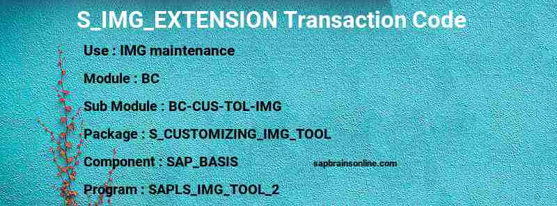 SAP S_IMG_EXTENSION transaction code