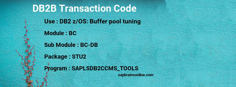 SAP DB2B transaction code