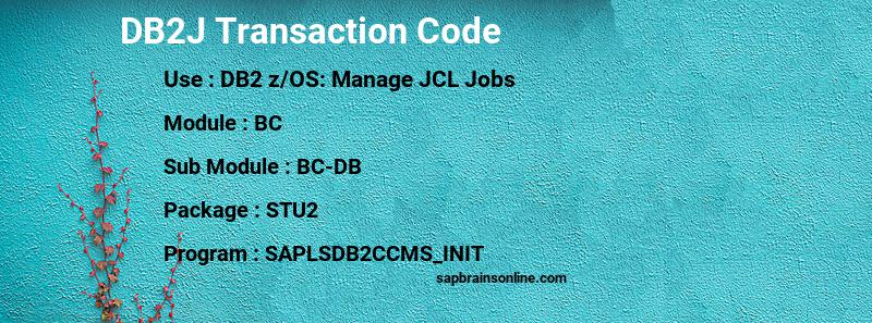 SAP DB2J transaction code