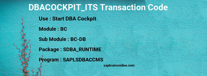 SAP DBACOCKPIT_ITS transaction code