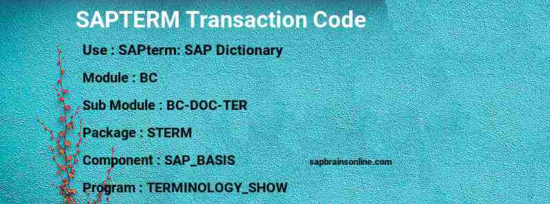 SAP SAPTERM transaction code