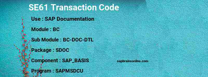 SAP SE61 transaction code