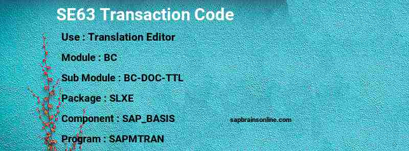 SAP SE63 transaction code