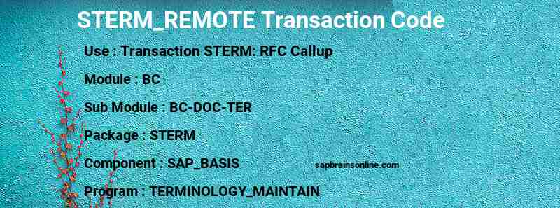 SAP STERM_REMOTE transaction code