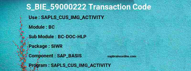 SAP S_BIE_59000222 transaction code