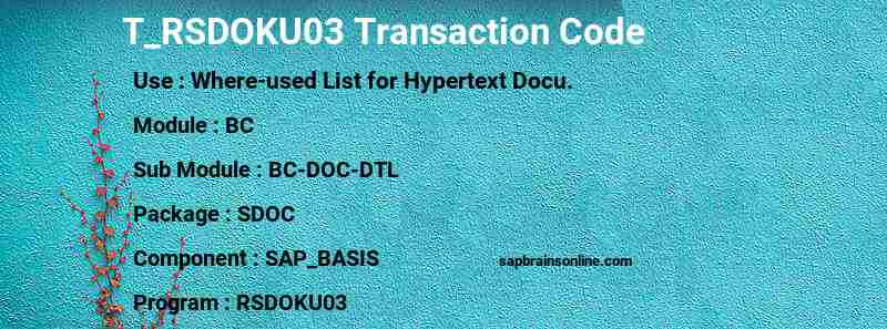 SAP T_RSDOKU03 transaction code