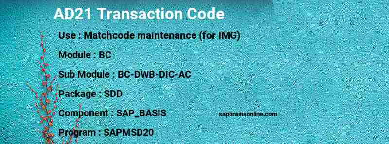 SAP AD21 transaction code