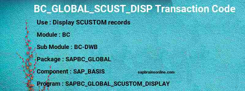 SAP BC_GLOBAL_SCUST_DISP transaction code