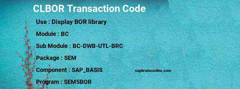 SAP CLBOR transaction code