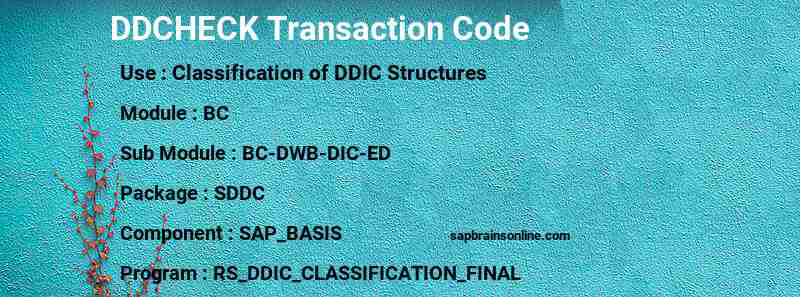 SAP DDCHECK transaction code