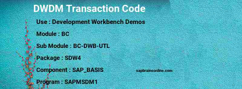 SAP DWDM transaction code