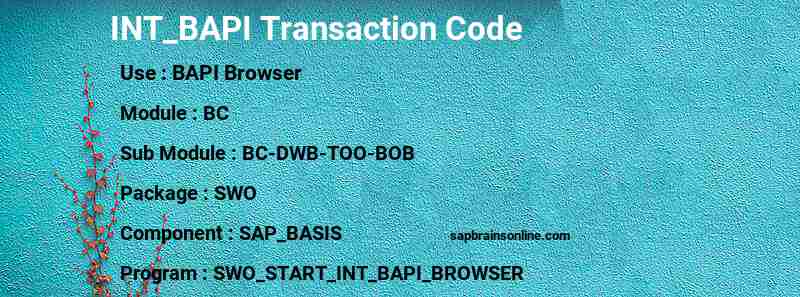 SAP INT_BAPI transaction code