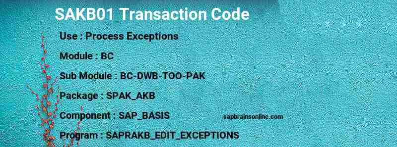 SAP SAKB01 transaction code
