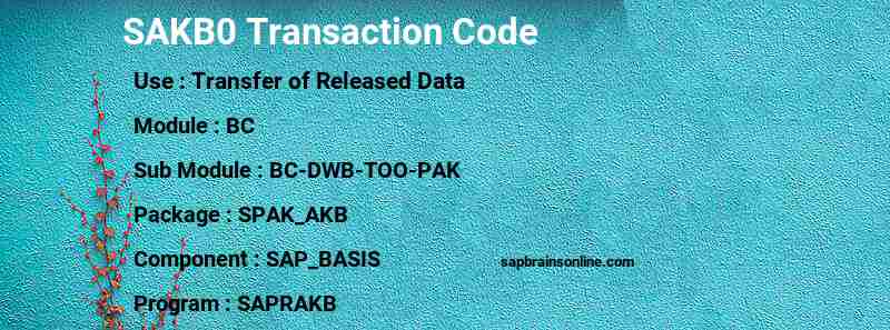SAP SAKB0 transaction code
