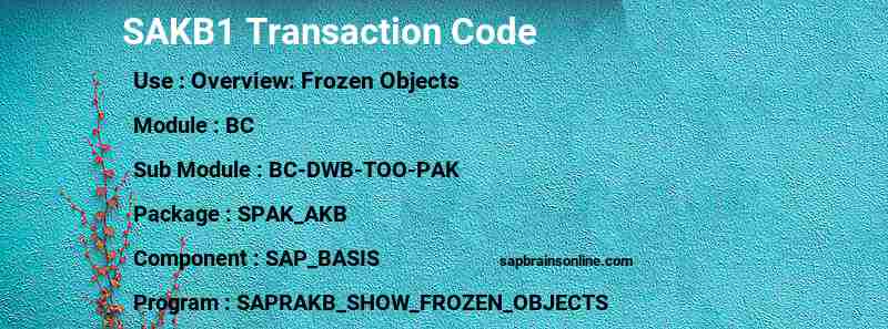 SAP SAKB1 transaction code